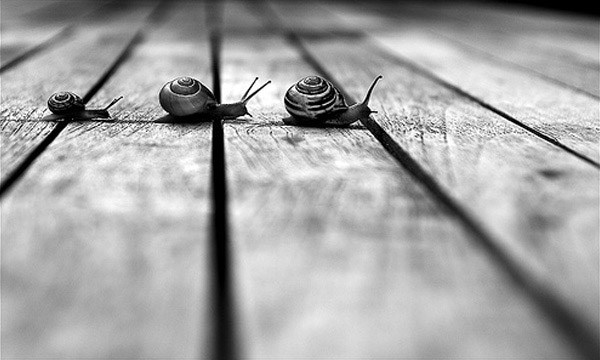 uvijek se krećemo stopama nekog velikana..((