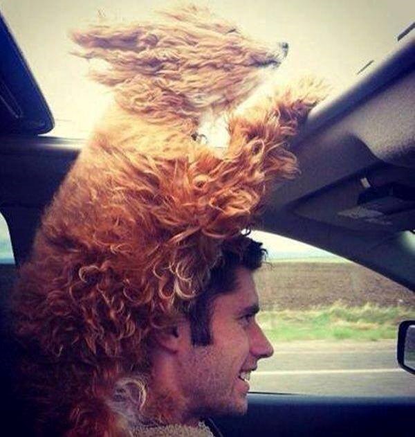 joj, zadovoljstva..:))