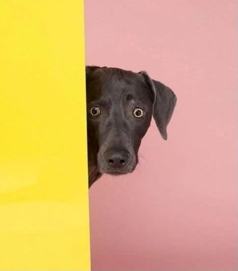 o-ovaj...jesu otišli provalnici..?