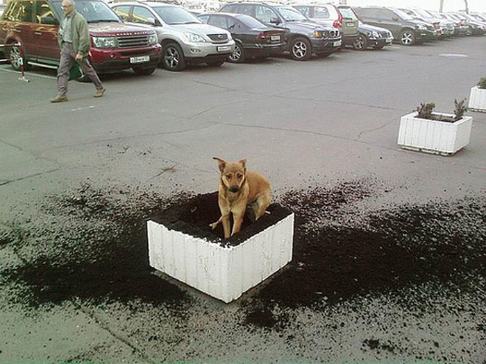 oaza..:))