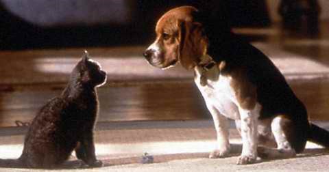 hej, hoćeš biti moj prijatelj..?