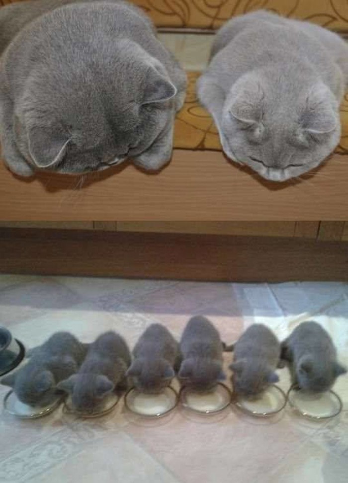 hehe..roditelji uvijek paze da se sve pojede..:))