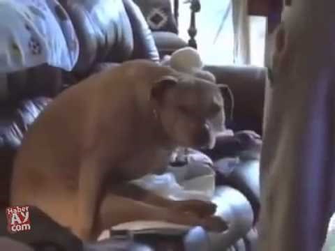 sve će vam biti jasno..video