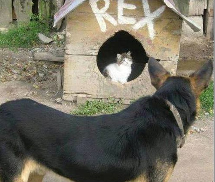 hehe..tko je ovdje Rex, ha..?