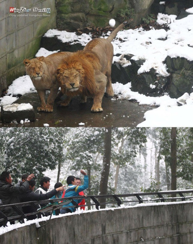 Ljudska sramota u svojoj punoj veličini..