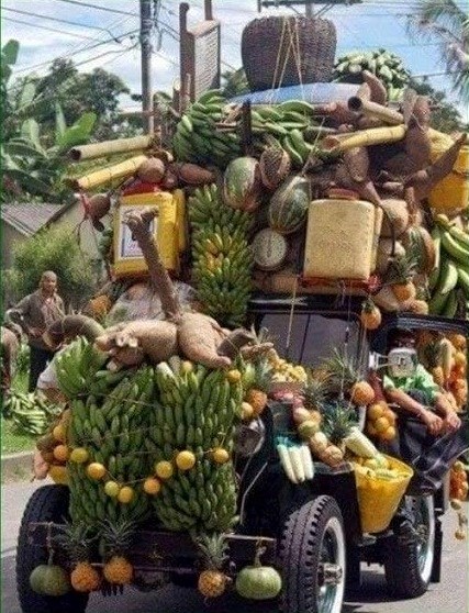 kad baka čuje da si prehlađen..:))