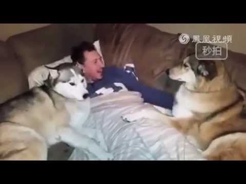 Slušaj..TI voliš MENE.. i mene jedino ..jasno ?? video