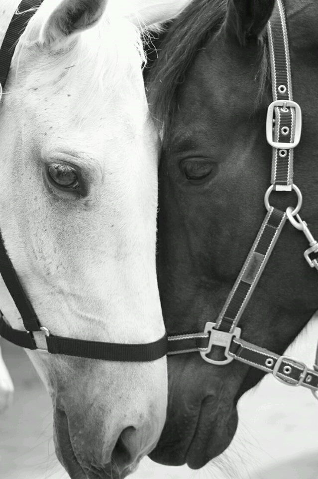 jednako ili različito..