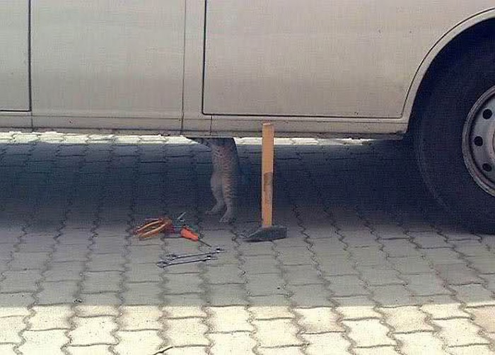 da, da, šefe..cincilator se raspao..