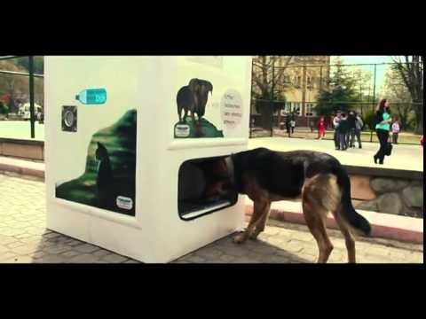 kod nas jadni peseki ne bi došli na red..mašine za hranu ljudima bi trebalo postaviti..