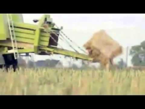 ovome ne fali daska nego pilana u glavi...video