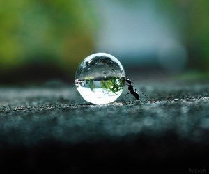 nekom kapljica, drugom stihija..