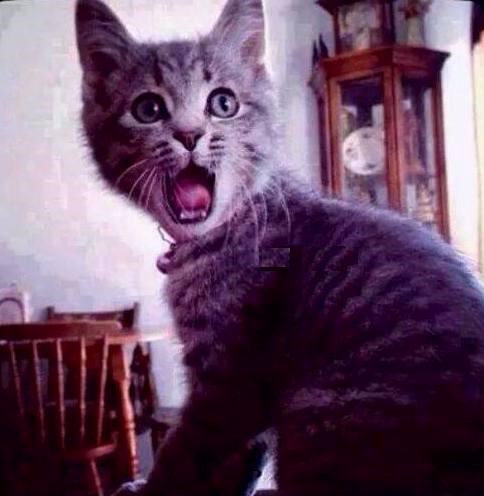 šta je sutra..PONEDJELJAK..??