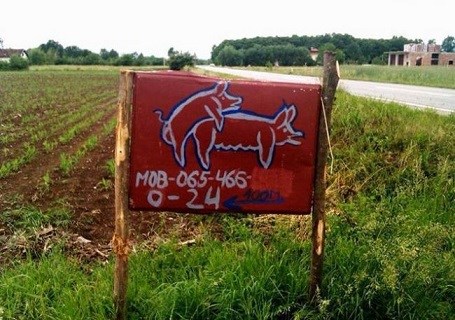 svašta..ni da li nudi, ni da li traži, ništa..