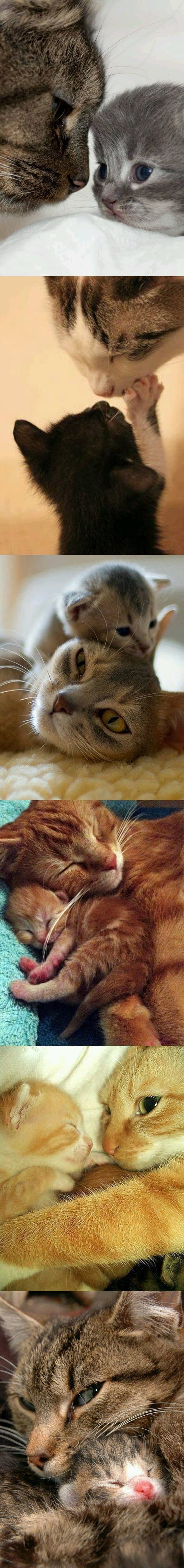 ponosni roditelji sa svojim mališanima..:))