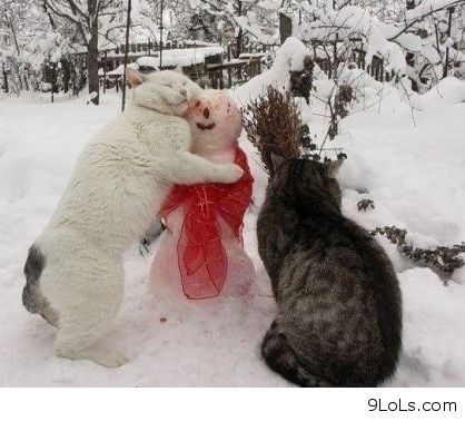 Na što su sve spremni, samo da izazovu ljubomoru..:))