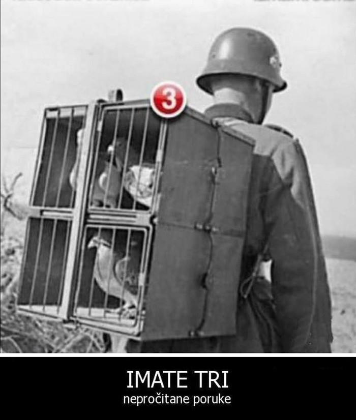 puni se inbox..