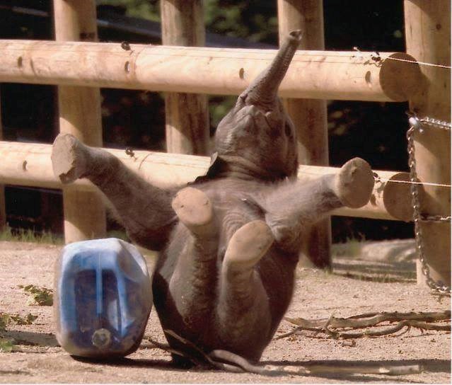 because I'm happy ?? haha