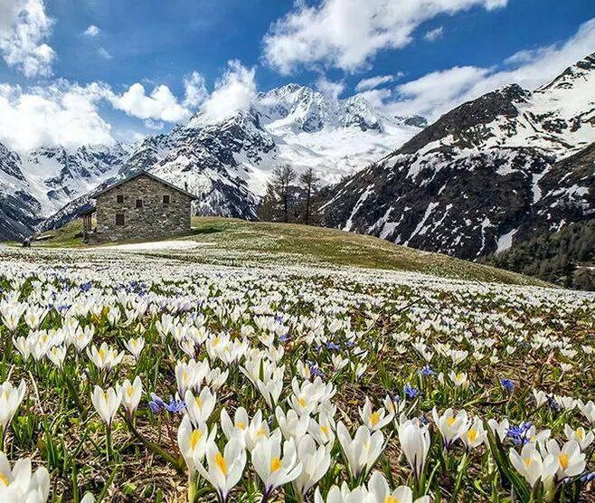 I jedno 2..3 mjeseca godišnjeg odmora..pa dušu odmoriti..