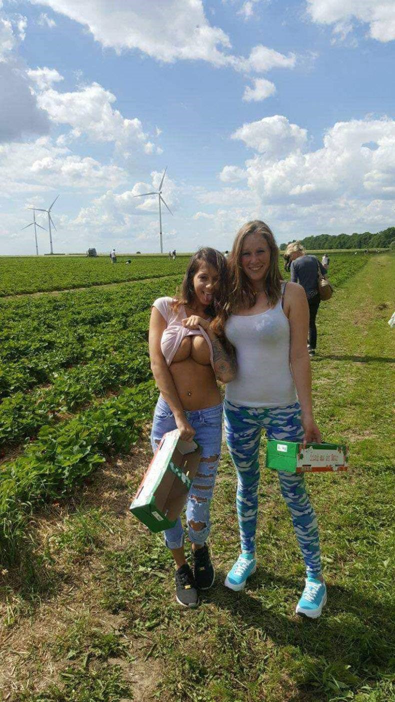 agrarne rad(in)osti..