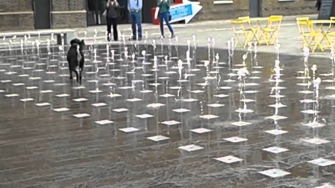 netko uistinu zna uživati u životu..video