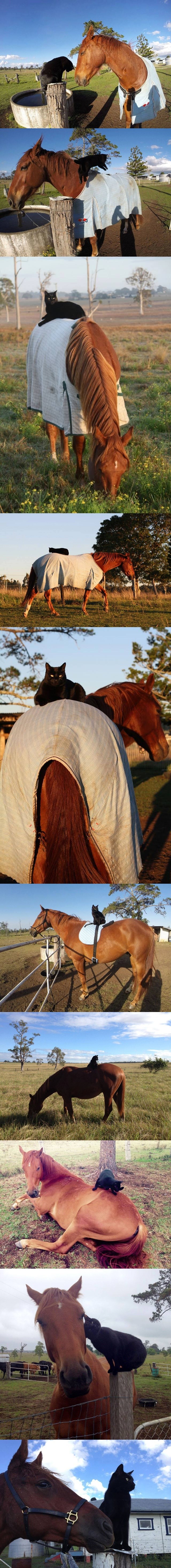 nekoga razlike razdvajaju, a nekoga spajaju..:))