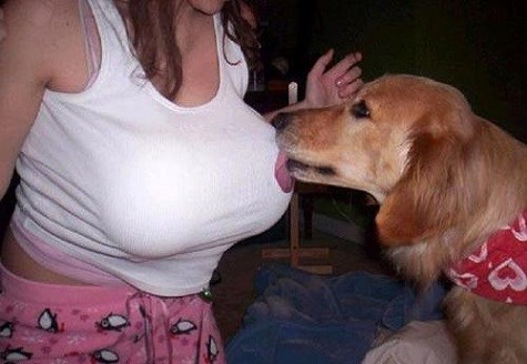 znaju i oni što valja..:))