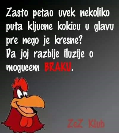 nejasnoće..:))