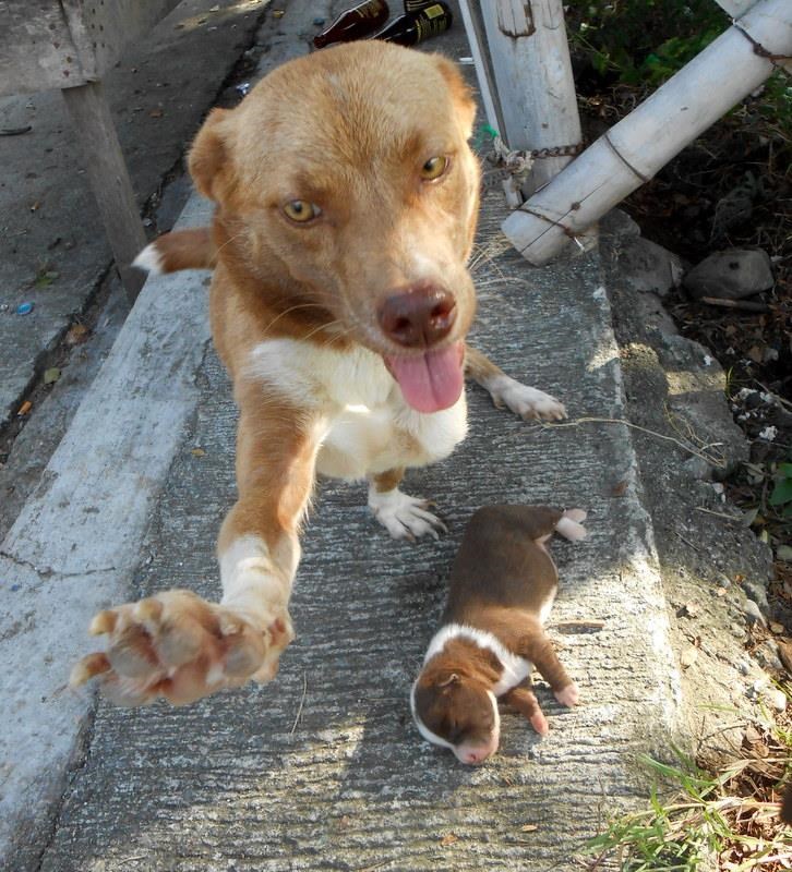 ni koraka bliže...jedva sam ga uspavala....