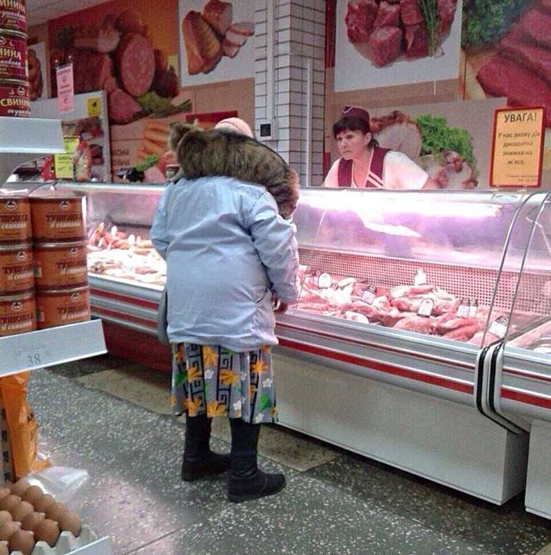 haha, nigdje bez mace..:))