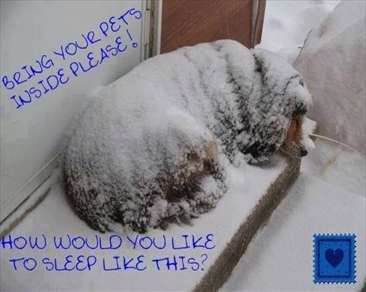 apel za malo topline..