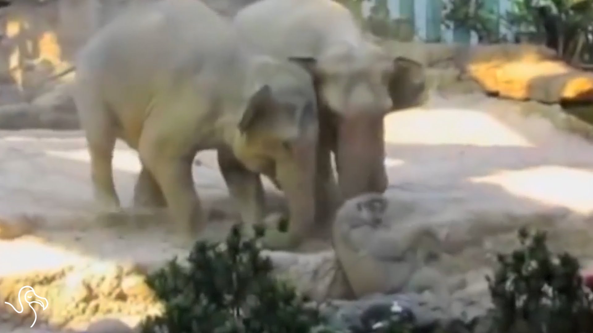  ponekad je "ljudskost" suvišan pojam..samilost, sažaljenje, saučešće, suosjećanje, još puno toga mi "Ljudi" moramo naučiti..video