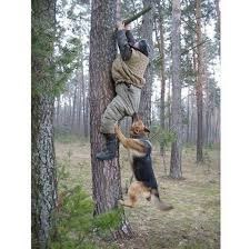 ovome lopovi ne bježe..