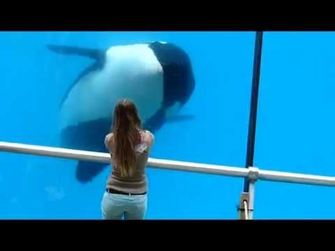 vjerovali ili ne...video