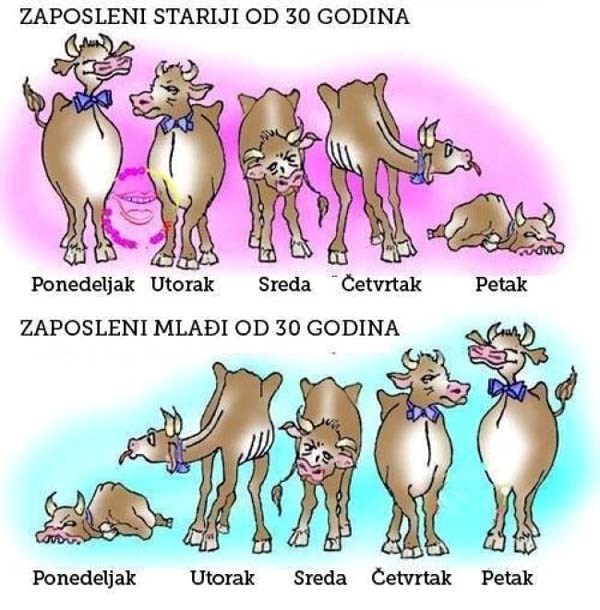 tako ide sa godinama..