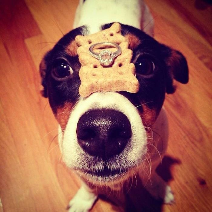 kad prijatelj pomaže...mora uspijeti