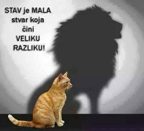 istina..