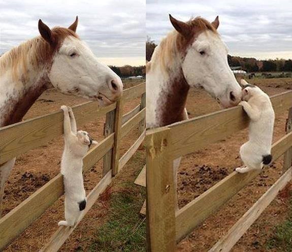 samo jedan zagrljaj..