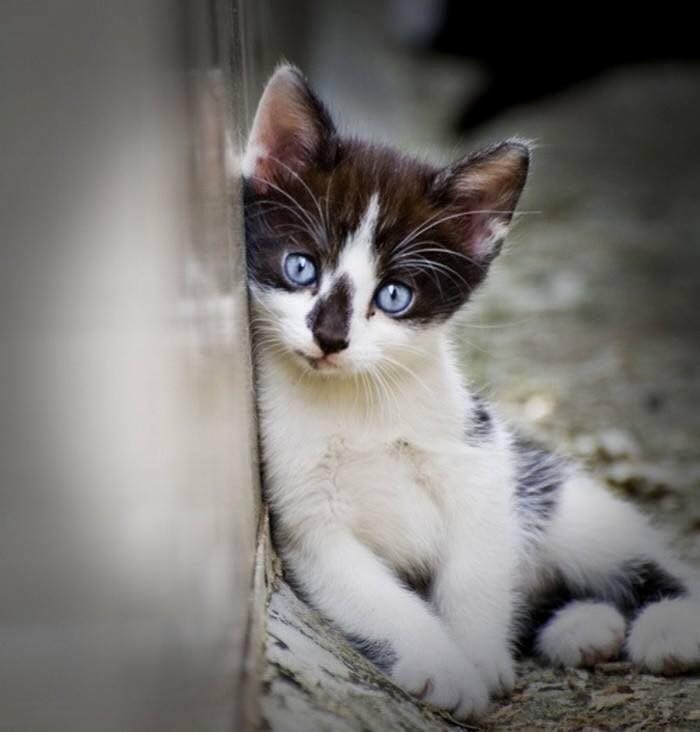 hej, zamisli boju..:))