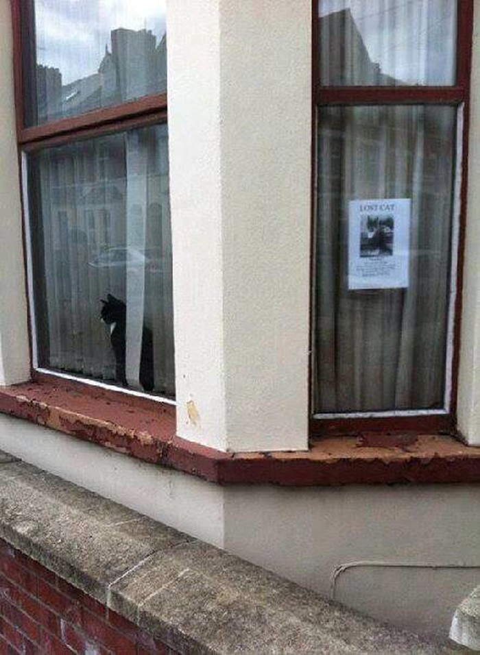 hahaha..:))