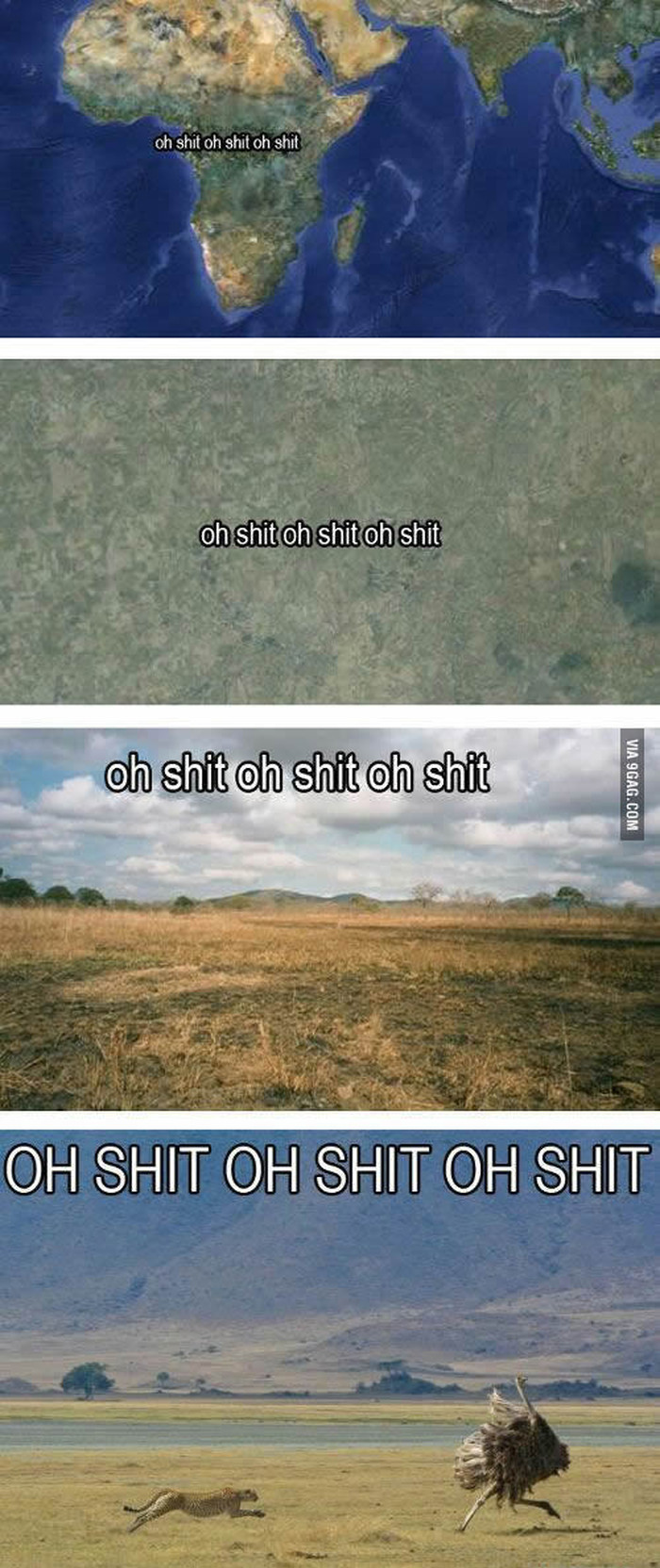 haha, crnjak..