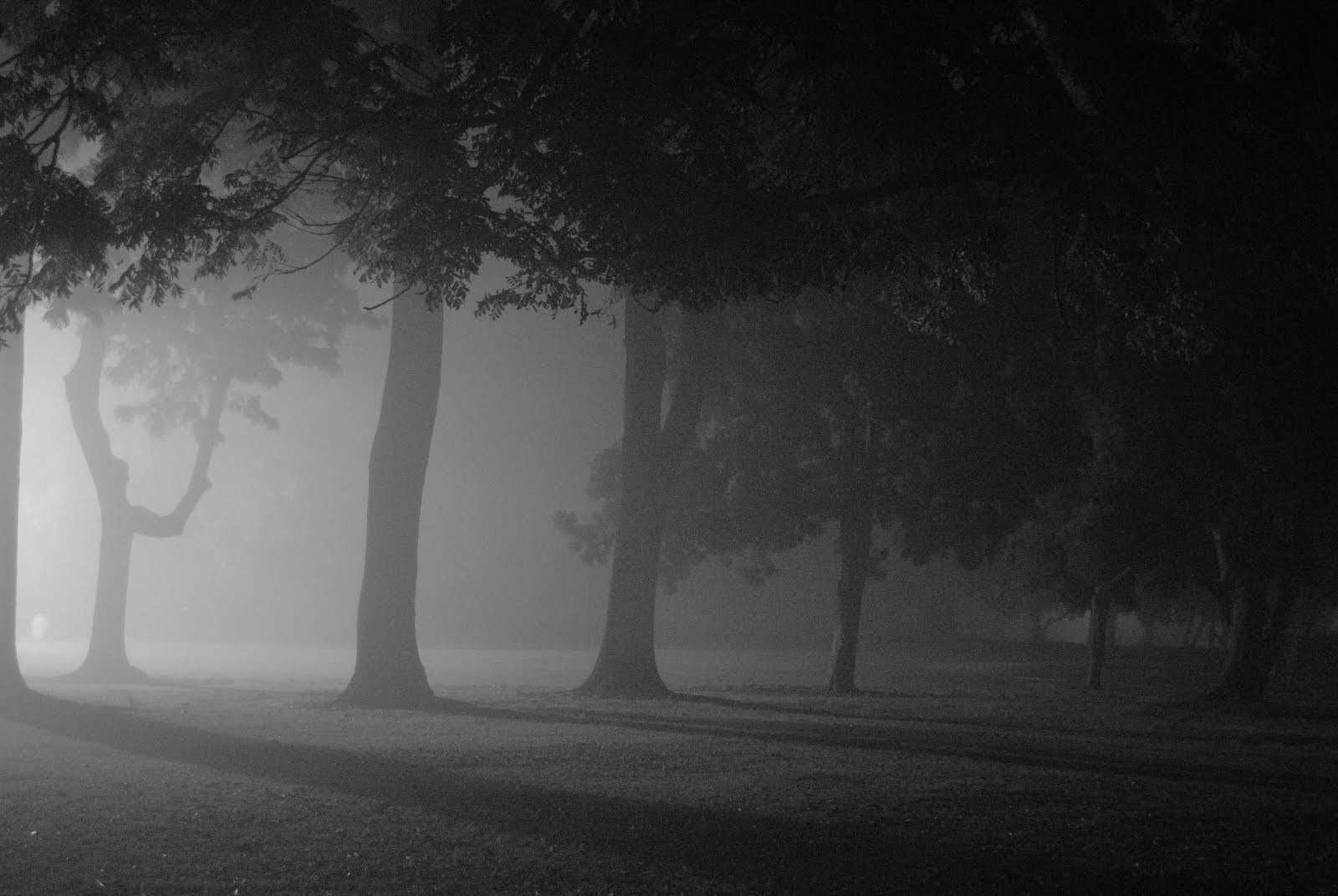 Prvi bosanskohercegovački naučno-fantastični film (trailer)..video