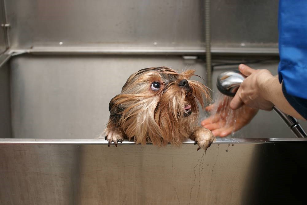 a vjerovao mu je...:)))