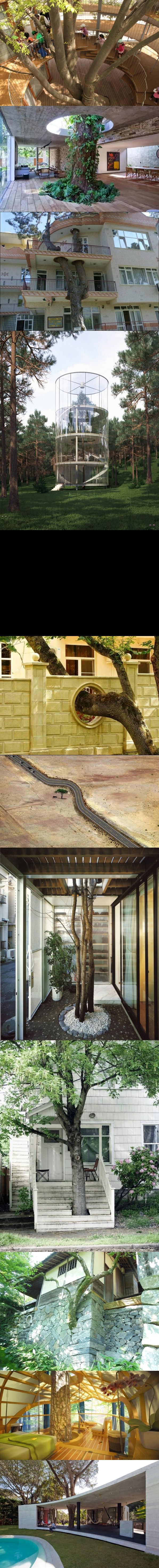 genijalci koji poštuju majku prirodu..