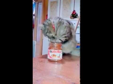 i njoj je jasno da to ne smije, ali strast je strast...:))) video