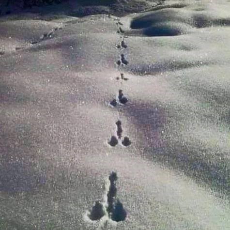 haha..što li je ovo ??