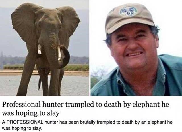 lovac stradao od slona kojeg je pokušao ubiti..
