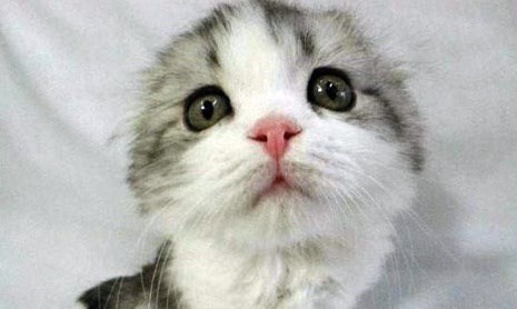 ka-kako to misliš nema maženja..??