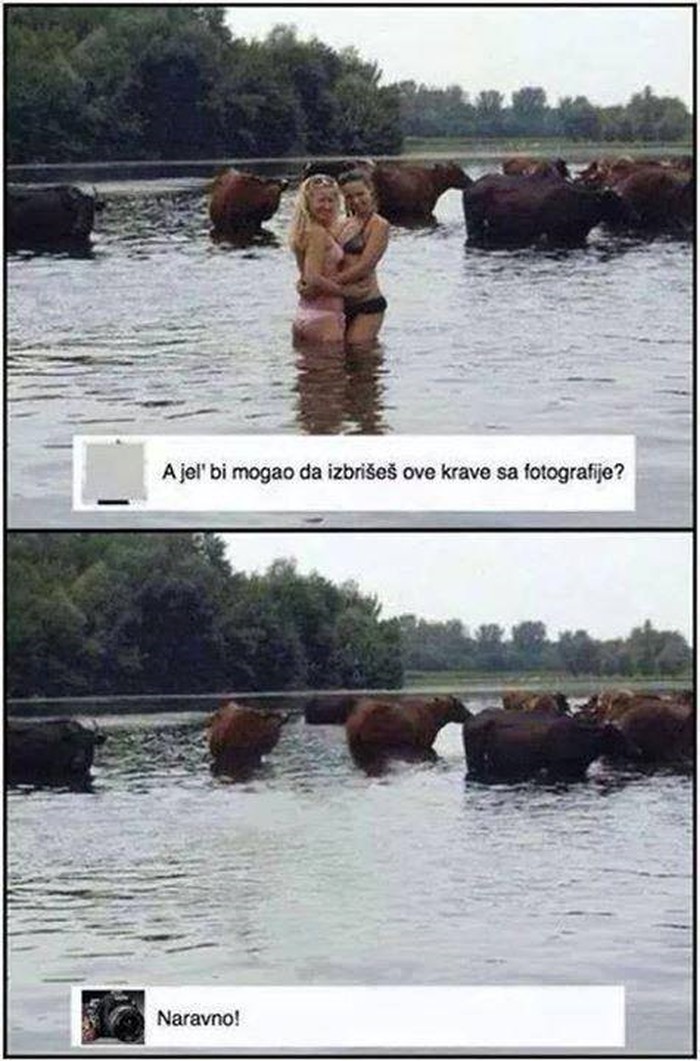 sve se može..