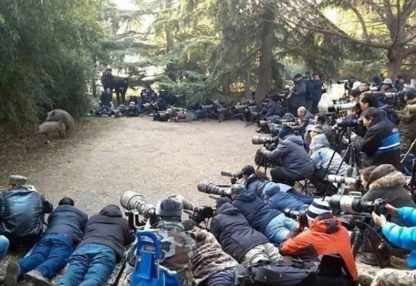 rođen da bude slavan..